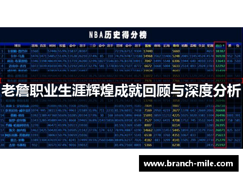 老詹职业生涯辉煌成就回顾与深度分析 老詹职业生涯辉煌成就回顾与深度分析