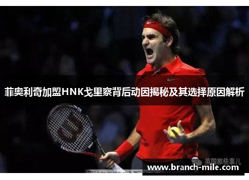 菲奥利奇加盟HNK戈里察背后动因揭秘及其选择原因解析 菲奥利奇加盟HNK戈里察背后动因揭秘及其选择原因解析