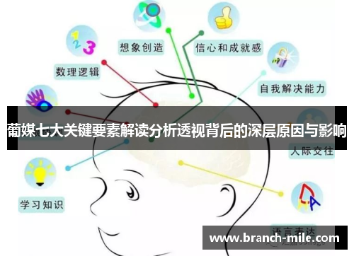 葡媒七大关键要素解读分析透视背后的深层原因与影响