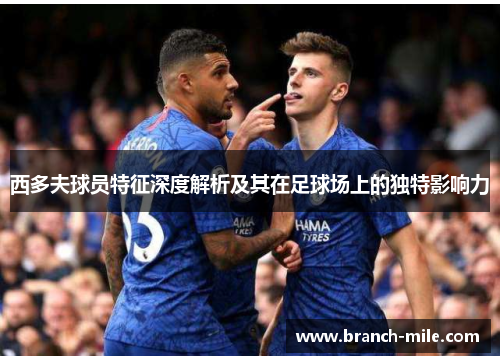 西多夫球员特征深度解析及其在足球场上的独特影响力 西多夫球员特征深度解析及其在足球场上的独特影响力