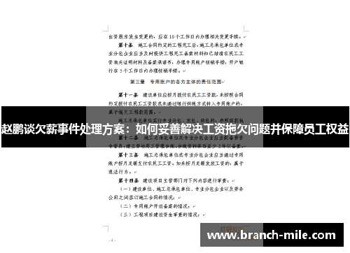 赵鹏谈欠薪事件处理方案:如何妥善解决工资拖欠问题并保障员工权益 赵鹏谈欠薪事件处理方案:如何妥善解决工资拖欠问题并保障员工权益