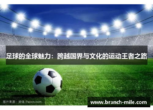 足球的全球魅力:跨越国界与文化的运动王者之路 足球的全球魅力:跨越国界与文化的运动王者之路