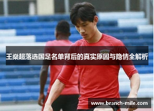 王燊超落选国足名单背后的真实原因与隐情全解析 王燊超落选国足名单背后的真实原因与隐情全解析