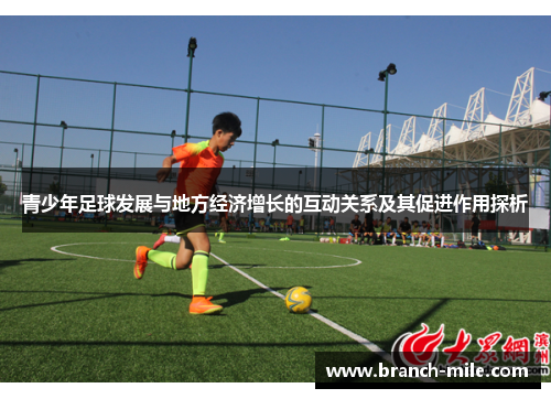 青少年足球发展与地方经济增长的互动关系及其促进作用探析 青少年足球发展与地方经济增长的互动关系及其促进作用探析