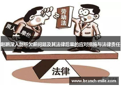 赵鹏深入剖析欠薪问题及其法律后果的应对措施与法律责任