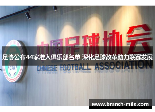 足协公布44家准入俱乐部名单 深化足球改革助力联赛发展 足协公布44家准入俱乐部名单 深化足球改革助力联赛发展