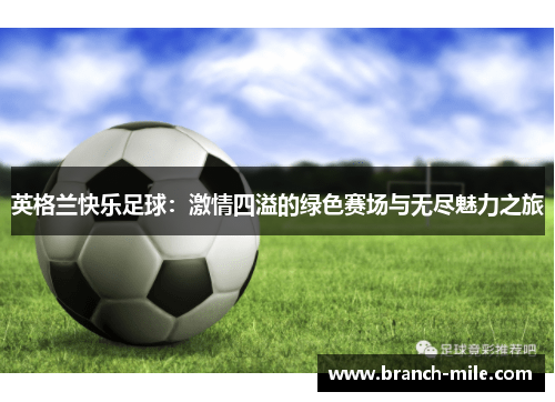 英格兰快乐足球:激情四溢的绿色赛场与无尽魅力之旅 英格兰快乐足球:激情四溢的绿色赛场与无尽魅力之旅