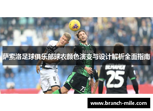 萨索洛足球俱乐部球衣颜色演变与设计解析全面指南