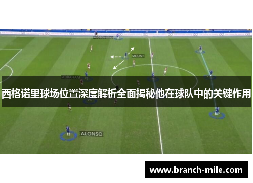 西格诺里球场位置深度解析全面揭秘他在球队中的关键作用