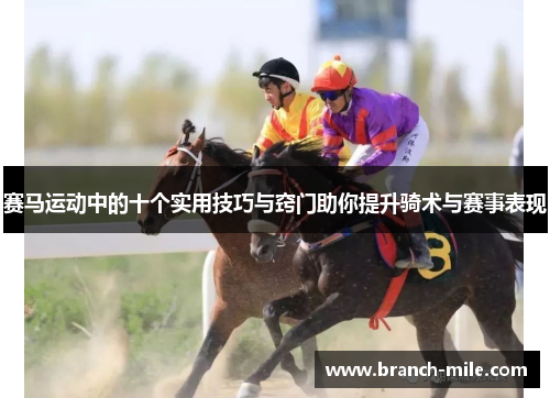 赛马运动中的十个实用技巧与窍门助你提升骑术与赛事表现