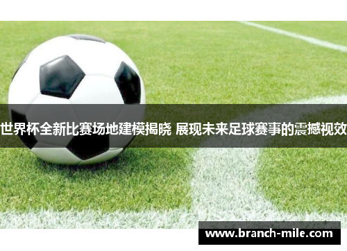 世界杯全新比赛场地建模揭晓 展现未来足球赛事的震撼视效