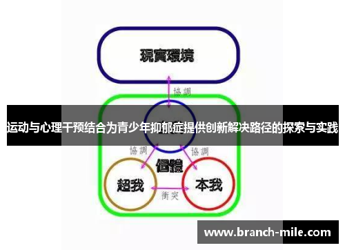 运动与心理干预结合为青少年抑郁症提供创新解决路径的探索与实践