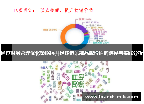 通过财务管理优化策略提升足球俱乐部品牌价值的路径与实践分析