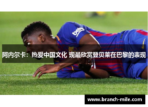 阿内尔卡：热爱中国文化 现最欣赏登贝莱在巴黎的表现