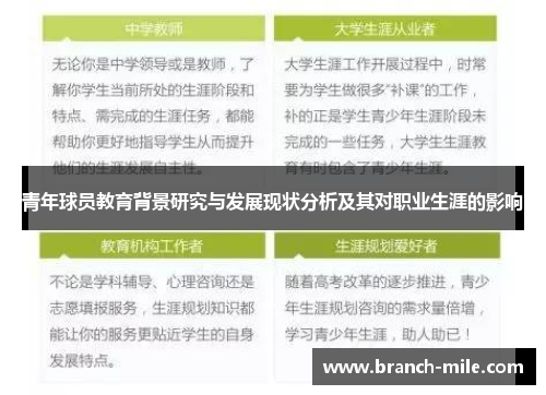 青年球员教育背景研究与发展现状分析及其对职业生涯的影响