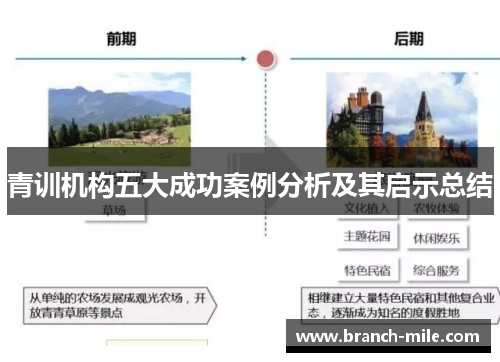青训机构五大成功案例分析及其启示总结