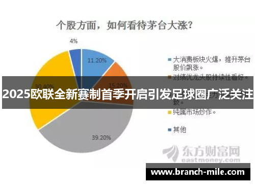 2025欧联全新赛制首季开启引发足球圈广泛关注